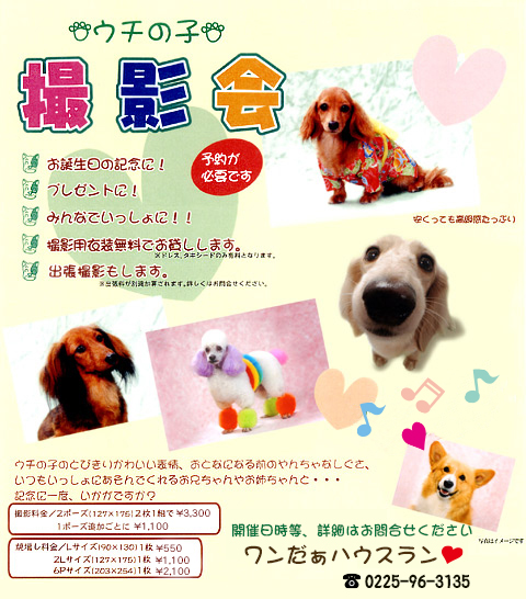 撮影会のご案内
